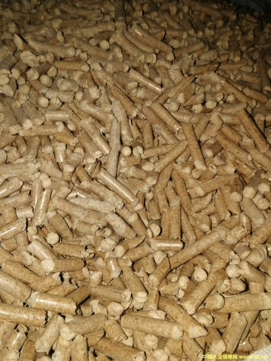 �����|�w���������w��