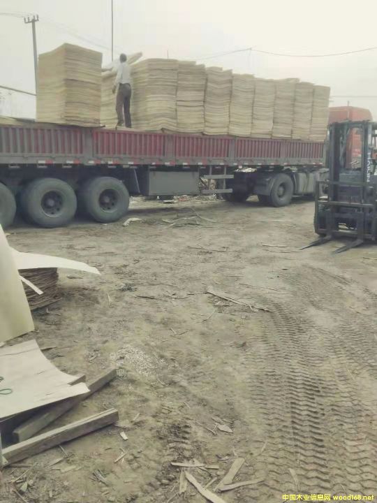  	 ��ľ�ΰ��Ԕ����B