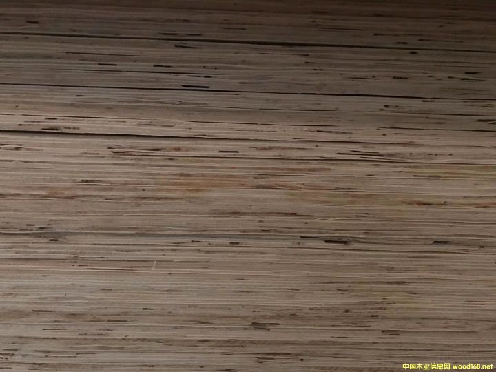 15���Ԕ����B