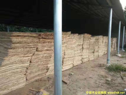 ��ͨ�A��Ƥ�]��ȼ