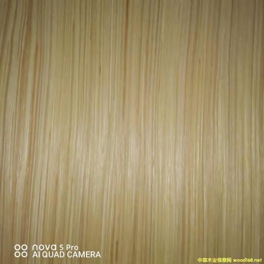  ��Ԕ����B