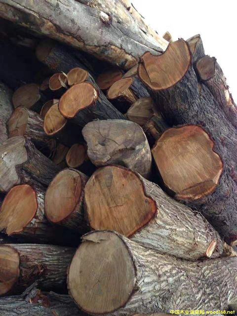 ���ڴ��~������