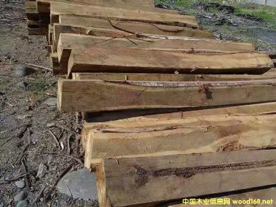 ���~��˼ľ�ķ�