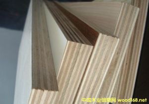  ��Ԕ����B