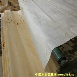  ��Ԕ��(x��)��B