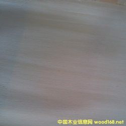  ��Ԕ��(x��)��B