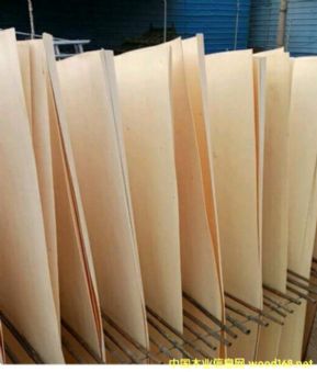  ��Ԕ��(x��)��B