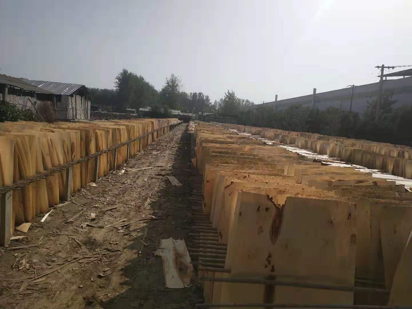  ��Ԕ����B