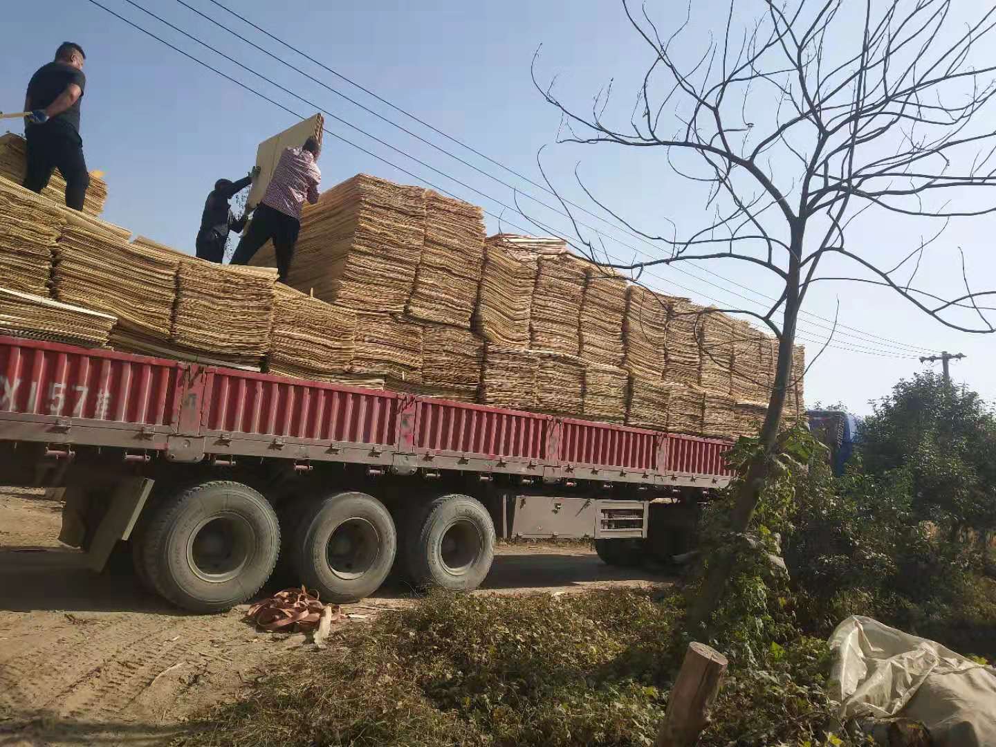  ��Ԕ����B