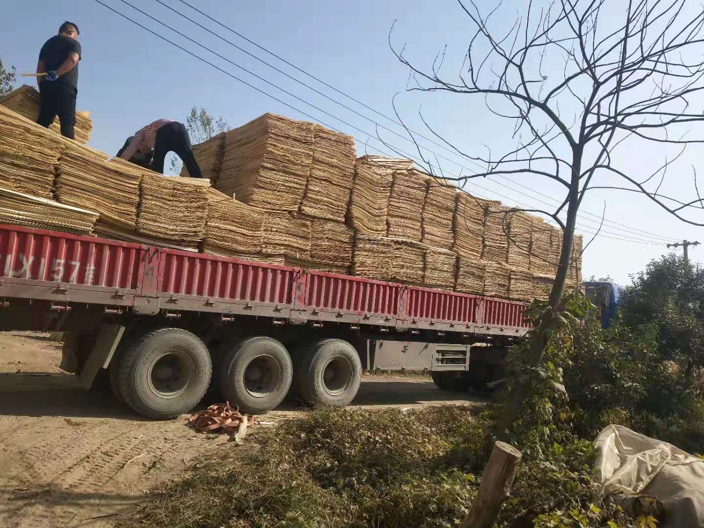  ��Ԕ����B