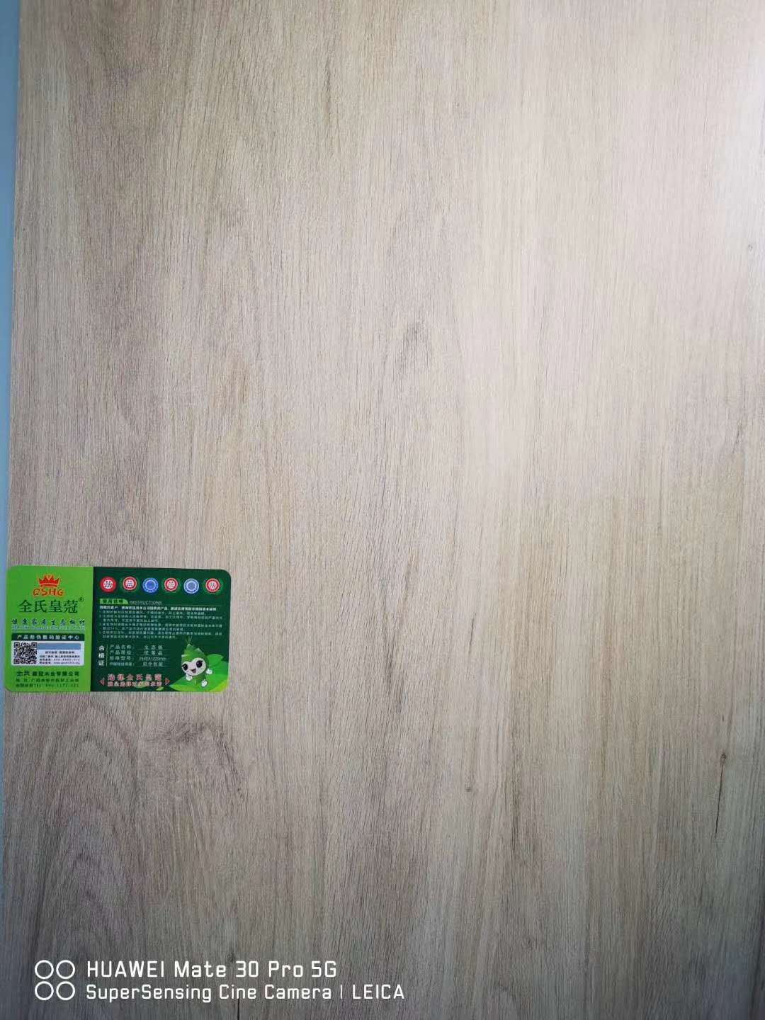 �����Ҿ����B���