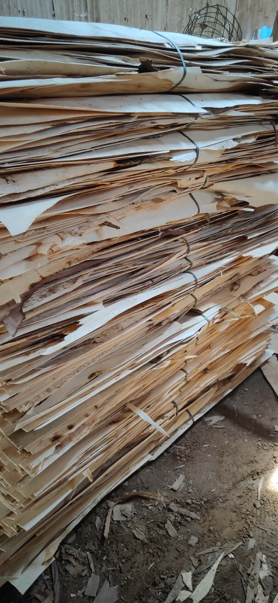  ��Ԕ����B