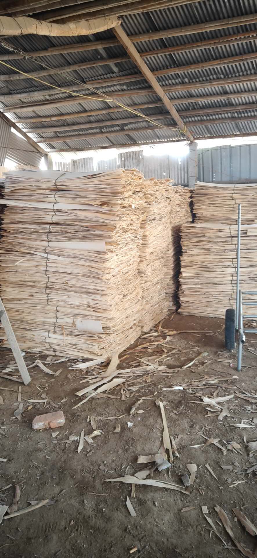  ��Ԕ����B