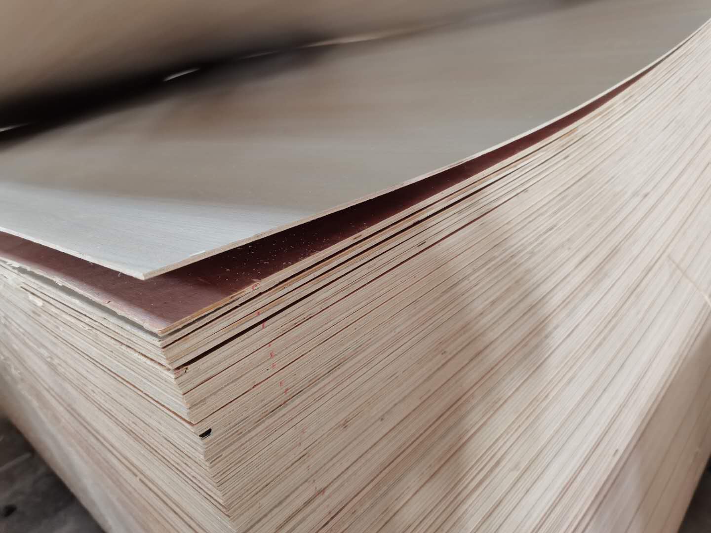  ��Ԕ��(x��)��B