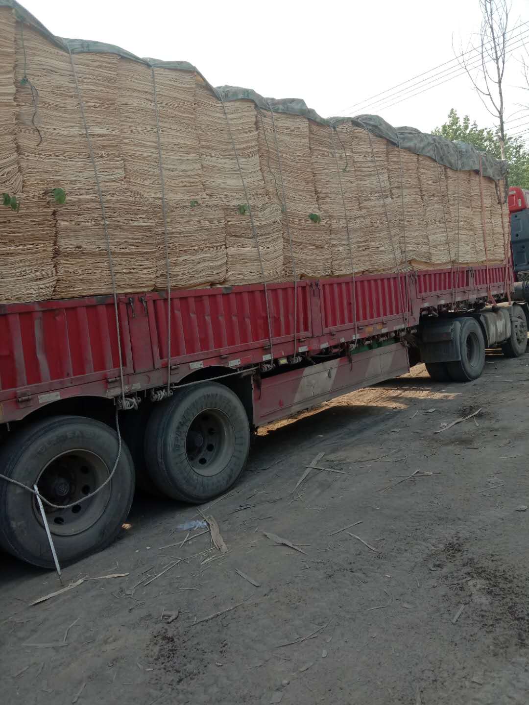  ��Ԕ����B