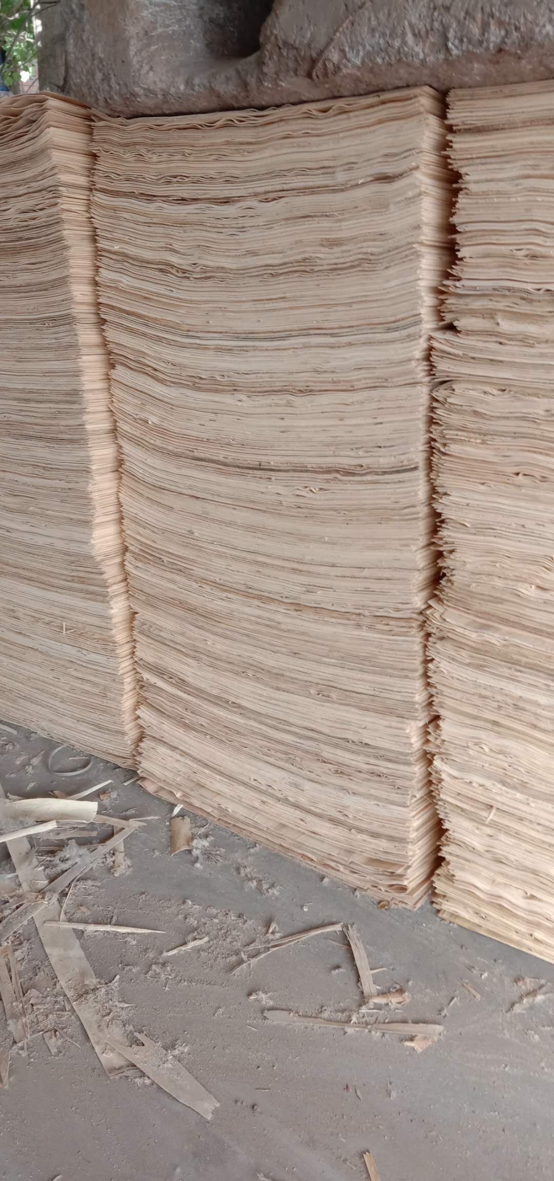  ��Ԕ����B