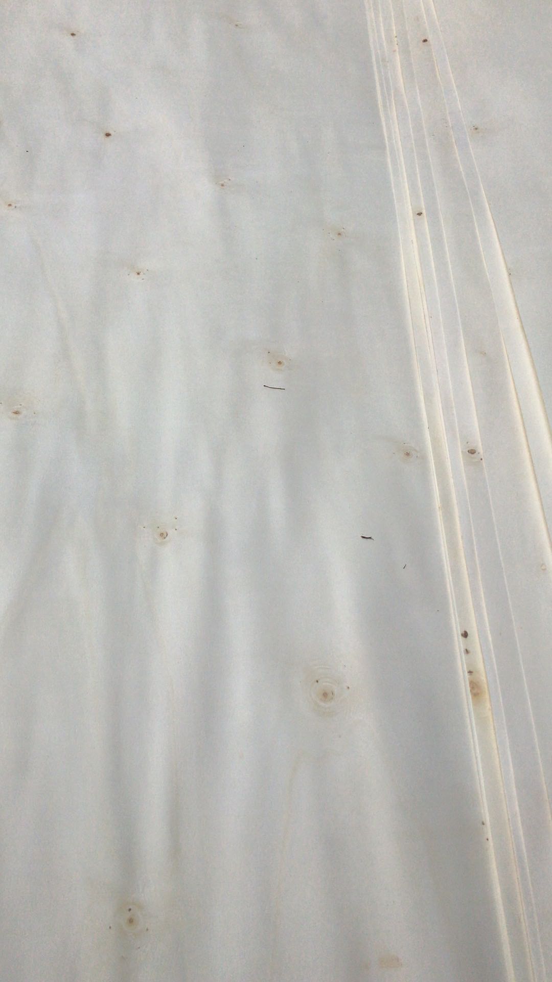  ��Ԕ����B