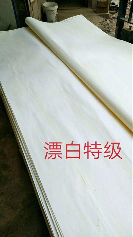  ��Ԕ����B