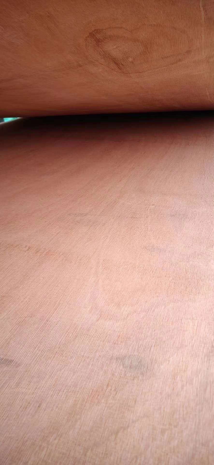  ��Ԕ����B