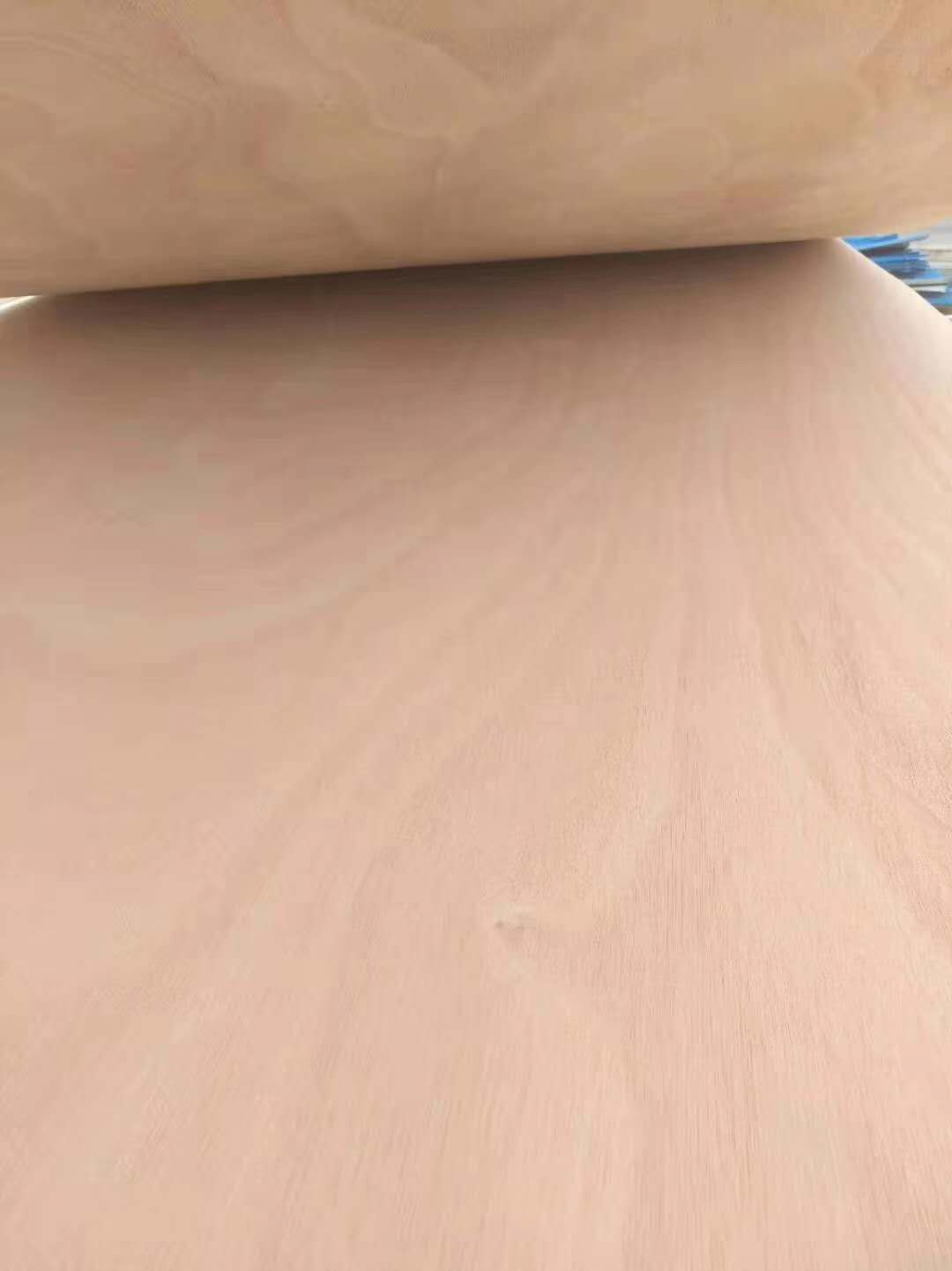  ��Ԕ����B