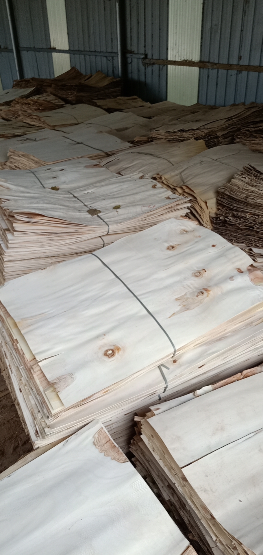  ��Ԕ����B