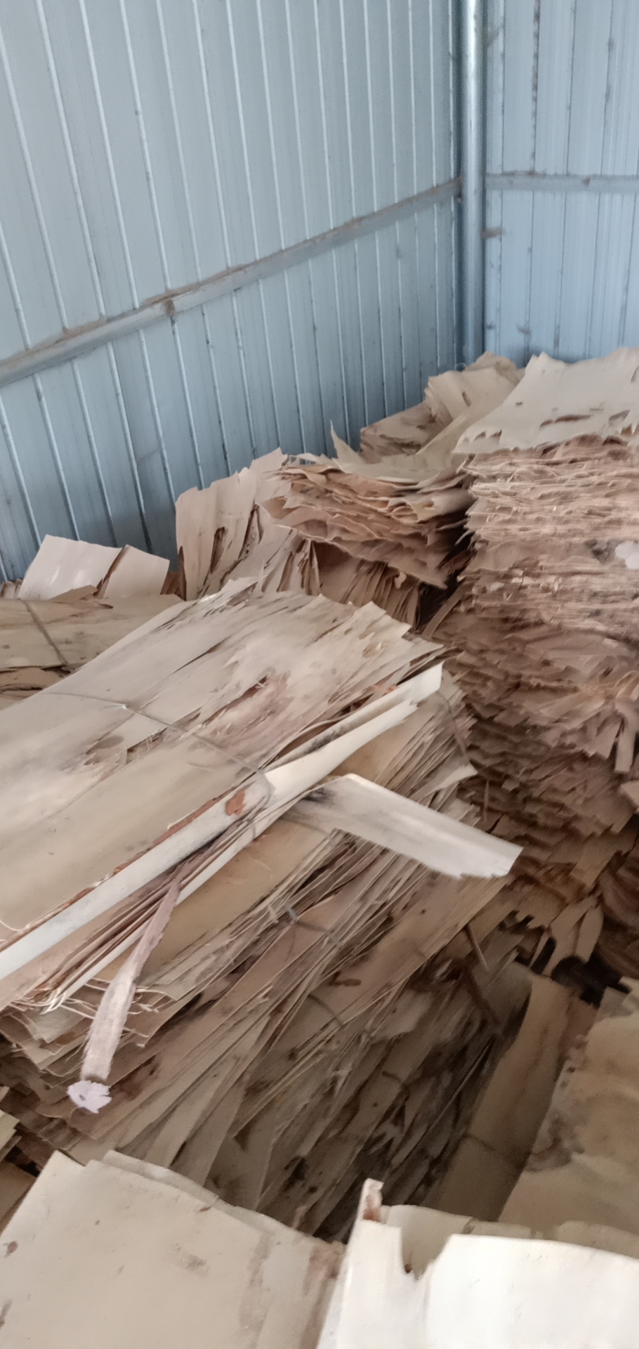  ��Ԕ����B