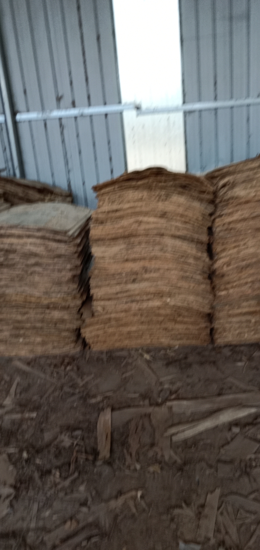  ��Ԕ����B