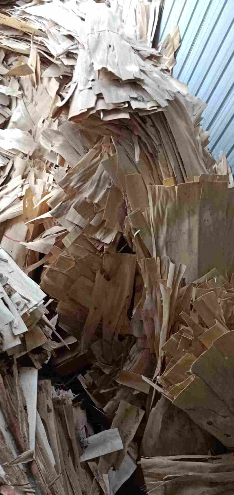  ��Ԕ����B