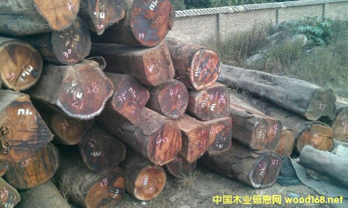 ���飬�ϓ룬����կ��Խ���^�m���P����t��֦ԭ�����Ĵ��M