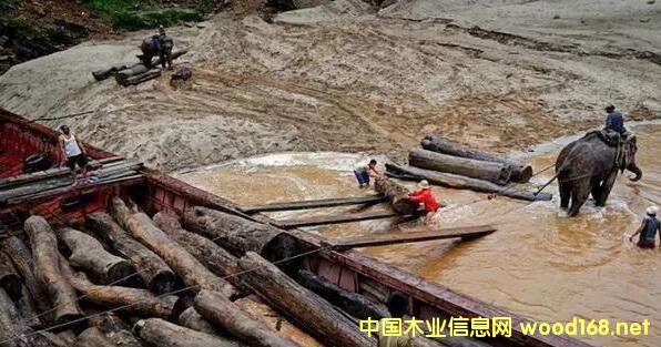 ľ�ĳ��ڇ��صĮ��£��ϓ���Ƿ���ɞ�������ݣ�