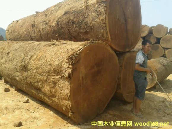 ľ�Y������-����ľɏľ�ď��ȵȼ��u��