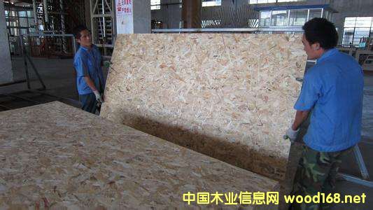 ������Ј��{�Ј�棺�ٻ��������S���ƼҾ߿������L OSB�@�l