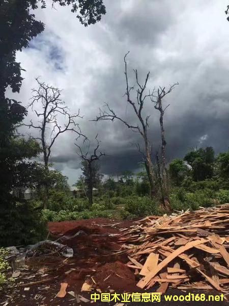 ���F�tľ���@�ﮔ���� һ�D��װ��f3