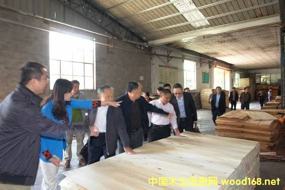 �R�����mɽ�^(q��)�����Ї�(gu��)10��ľ�I(y��)�a(ch��n)�I(y��)��Ⱥ