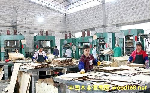 �R�ʰ����I�������Ƶĕr�򣿏V���F���ǂ����x��