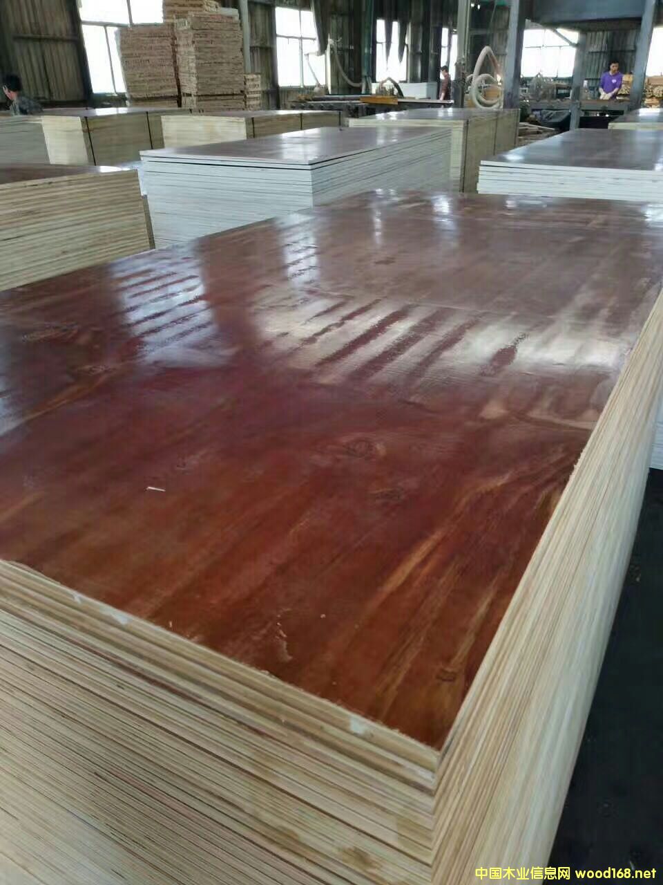 �ߙn����ģ��S�����]�����K��ꖿh��ɭԴľ�I(y��)