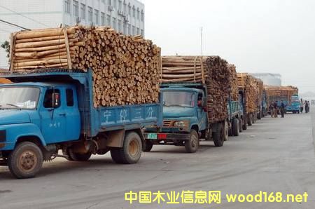 �V���ɞ����ϵ؅^��Ҫ��ľ���M���ڰ�֮һ