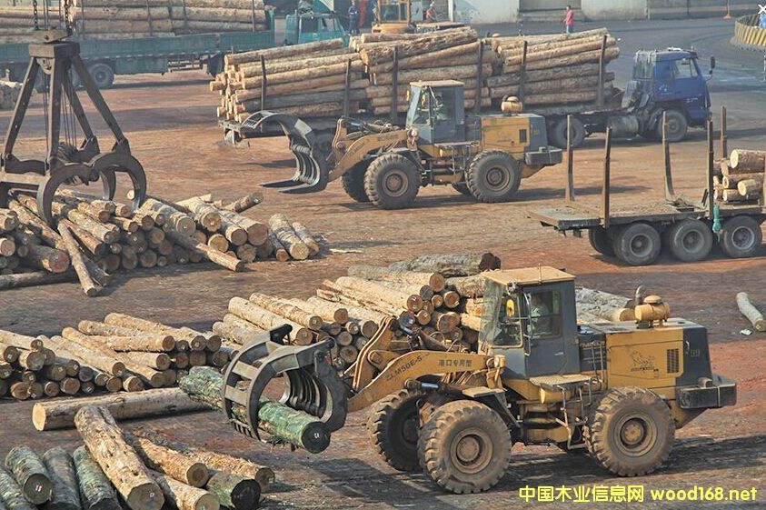 ���ڿڰ�һ�����M(j��n)��ԭľ؛ֵ���L(zh��ng)118.5%