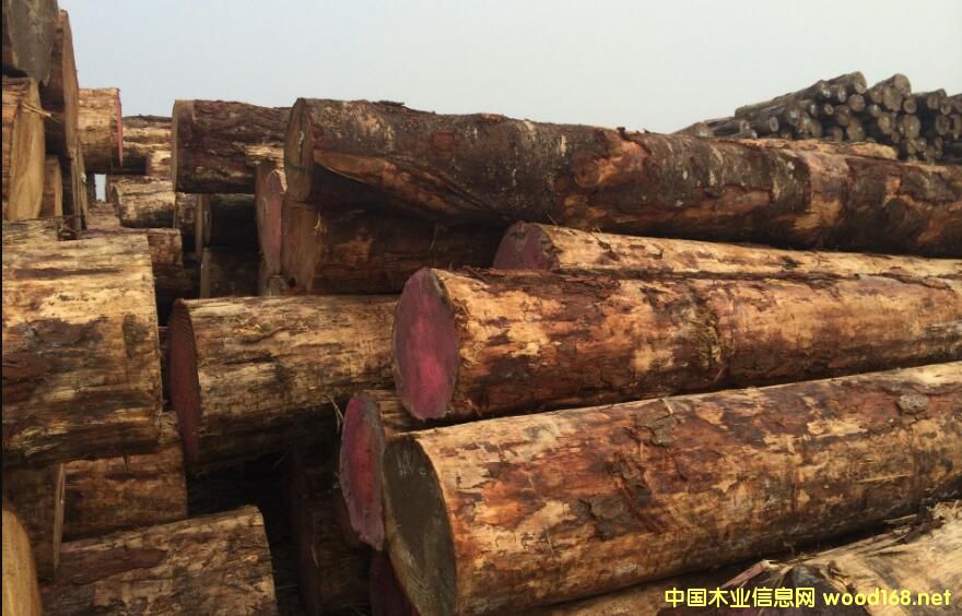 ���|�o�{׃ݗ���Ɏ��漱�������������_����؛ģʽ