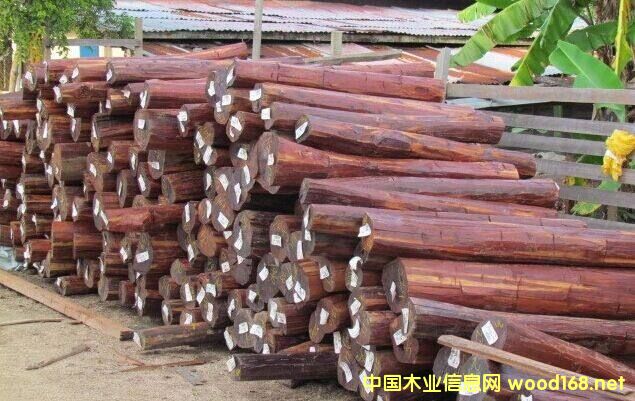 �K����ľ��-�K�����߼yľ