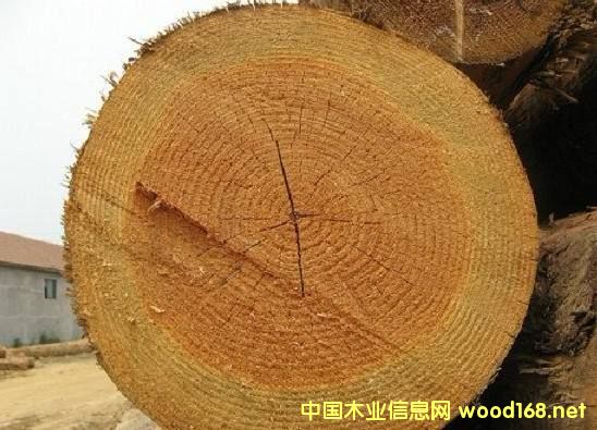 ľ�İٿƣ������ɣ��ɲ����ı���ܛľ��N