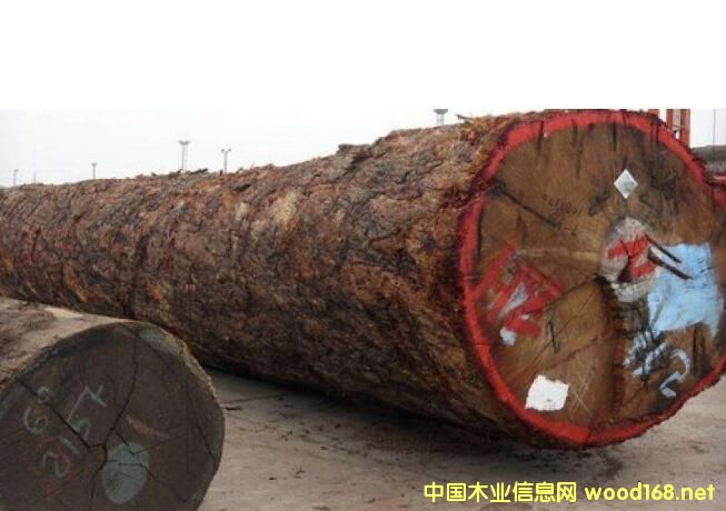 ���µڂ����ߟ��Ј� �r������������̼ҡ��哌��