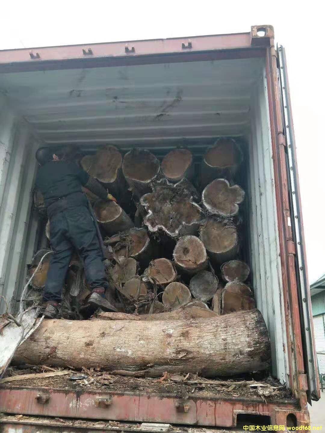 ���ڴ��~��˼ԭľ1��Ԕ����B