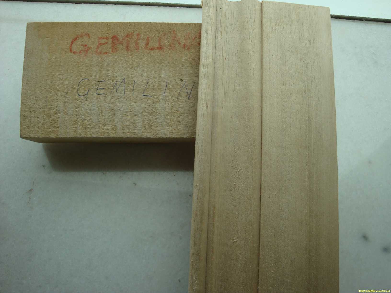 ����ľ�Ӱ�