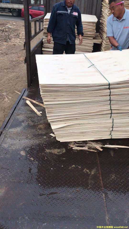 ���Ԕ����B