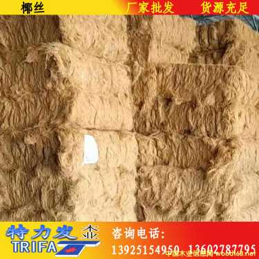 Ҭ�z��Ԕ����B