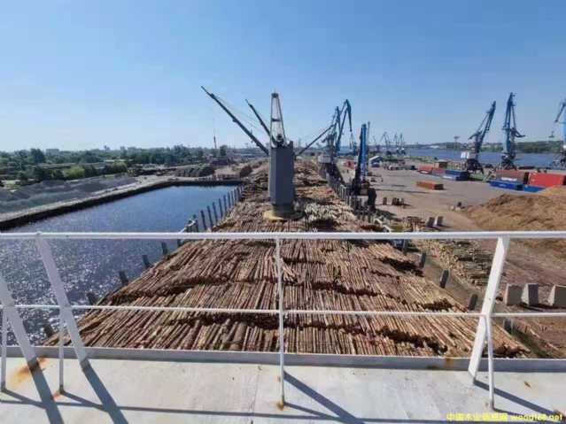 �W����ɼ��Ԕ����B