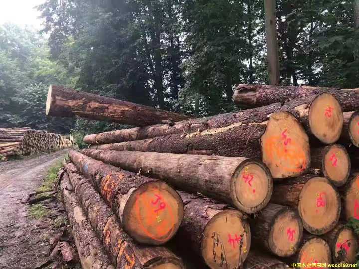 ����ɼ��Ԕ��(x��)��B