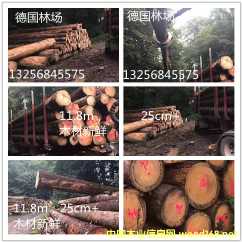 ��(gu��)��ɼ