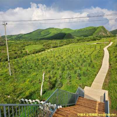 ����ľ������Ԕ����B